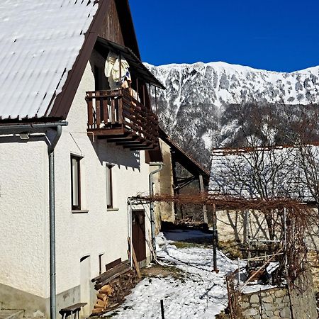 PodbrdoHikers Hut Hisar公寓 外观 照片