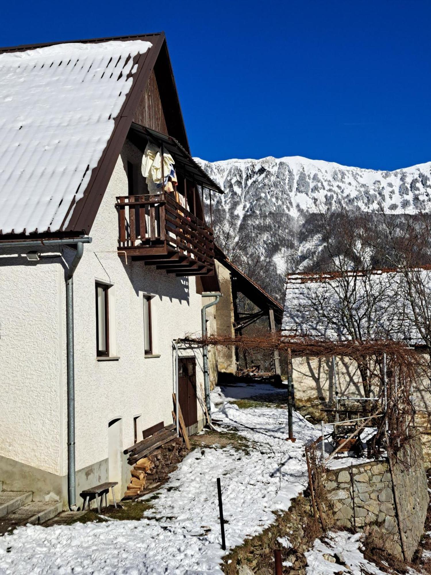 PodbrdoHikers Hut Hisar公寓 外观 照片