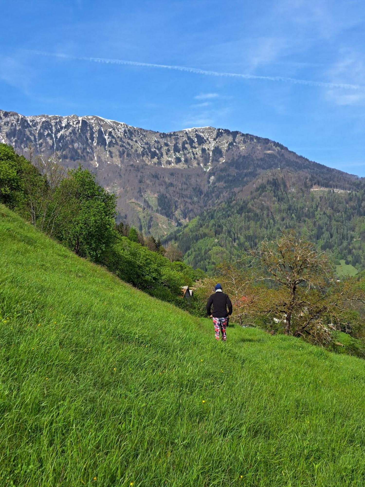 PodbrdoHikers Hut Hisar公寓 外观 照片